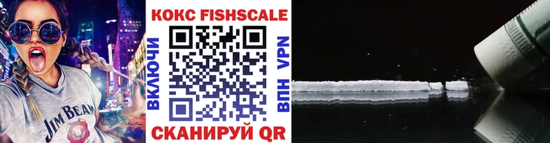 COCAIN Fish Scale  где можно купить   Петровск 