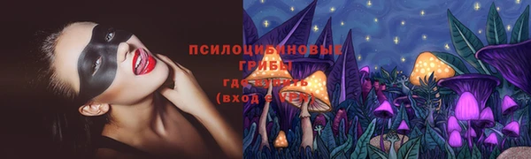 героин Алексин